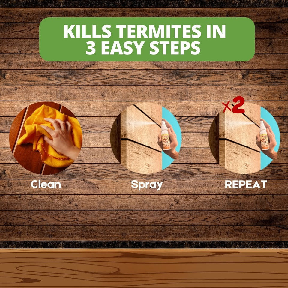 Termite Killer Spray(BUY 1 GET 1 FREE)
