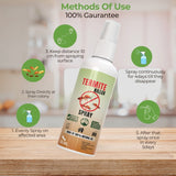 Termite Killer Spray(BUY 1 GET 1 FREE)