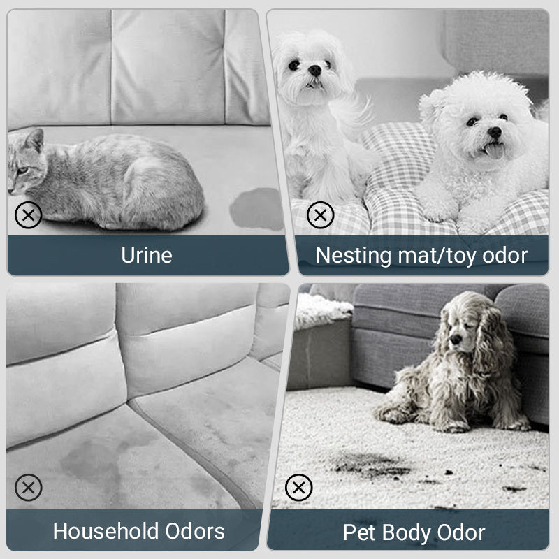 Pet Stain & Odor Removal Spray - Free Delivery