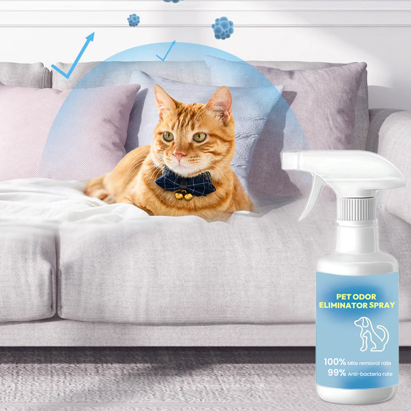 Pet Stain & Odor Removal Spray - Free Delivery